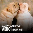 도그마루(왕십리점) 이미지