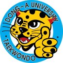 동아대태권도장 이미지