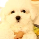 스타미용타운 이미지