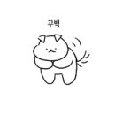 해동카정비 이미지