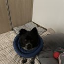 태산 우리동물병원 이미지