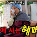 샤론미용실 이미지