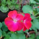 메이폴하우스 이미지