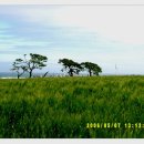 보리광장 이미지