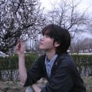 민희 Daum카페