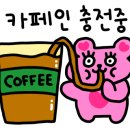 뀨카페 이미지