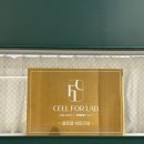 빅토리 | 울산 다이어트 정체기 극복! 셀포랩 빅토리 방문 후기 (효과 REAL 체험)