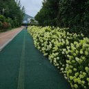 미평공원(오림동) 이미지