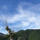 동원목장(2농장) 이미지