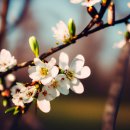 Spring Days(봄날)