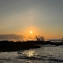 새들가든 | 🌅 2026년 새해 첫 일출, 정동진 근처에서 맞이한 설렘 가득 여행기