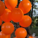 국제교육센터 | 제주 국제영어도시 프리미엄 국제영어교육센터에서의 특별한 하루