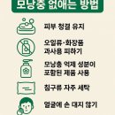 올가드림뷰티화서점
