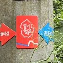 산음자연휴양림 이미지