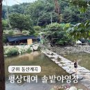 솔밭야영장 | 대구 근교 군위 동산계곡 솔밭야영장 평상대여 후기