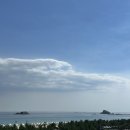 설악펫 | 오션투유리조트 속초설악비치호텔앤콘도 펫룸 후기