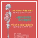 [5월20일] 스쿨오브무브먼트 8주년 특별 수업: 부드러운 목과 어깨를 위하여 / 부드러운 허리와 골반을 위하여 이미지