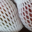 완도농장 이미지