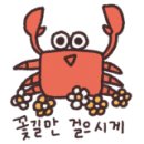 고래사냥펜션 이미지