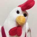 펫츠플레이트 이미지