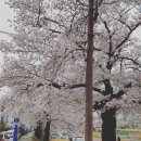 서상동143 이미지