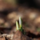 잘사는힐링연구소 이미지