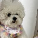 케이코야 이미지