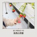 맹리 | 용인 포레스트벨 솔직후기 동물체험 딸기체험 모두가능한곳