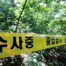등산로 발견 이미지