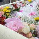 이웃사랑상조라이프