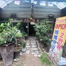 푸른숲식당 이미지