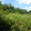 고미마을회관 이미지