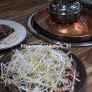 감동한우농장 네이버블로그