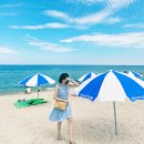 신흥Farm | 감성적인 강원도 카페 TOP 9 추천 (강릉, 속초, 양양)