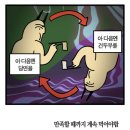 촨촨마라탕 네이버블로그