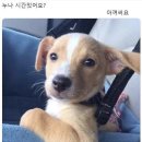 아쿠아시티