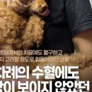 애니컴서비스 이미지