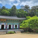 공작산생태숲 | 파트너-[홍천 가볼만한곳] 수타사 + 공작산 생태숲 산소길 트레킹 후기｜계곡·숲길 힐링 당일치기 코스