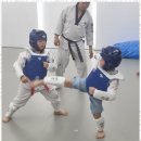 용인대 영웅 태권도장 이미지