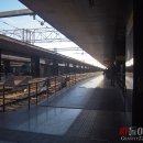 지니민박 이미지