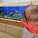 최재훈소아청소년과의원 이미지