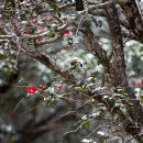 옥룡사지 이미지