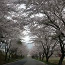 금암1리 노인회관 이미지