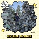 GR(부산광역시 기장군)-[기장해안로]-하-20 | 부산 기장 아난티 트리빌리지 방문 후기｜눈 내리는 시간·주차·아이랑 가기 좋은 곳