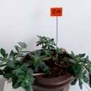 풍요의 아침 이미지