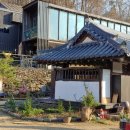 사월1리 이미지