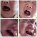 [22.02.08화-15화] 아가마지 강인순 산후도우미님 3주(15일 연장형)3