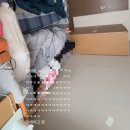 오월로그