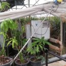 여주-0912 이미지