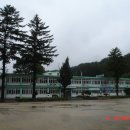 금대초등학교 Daum카페